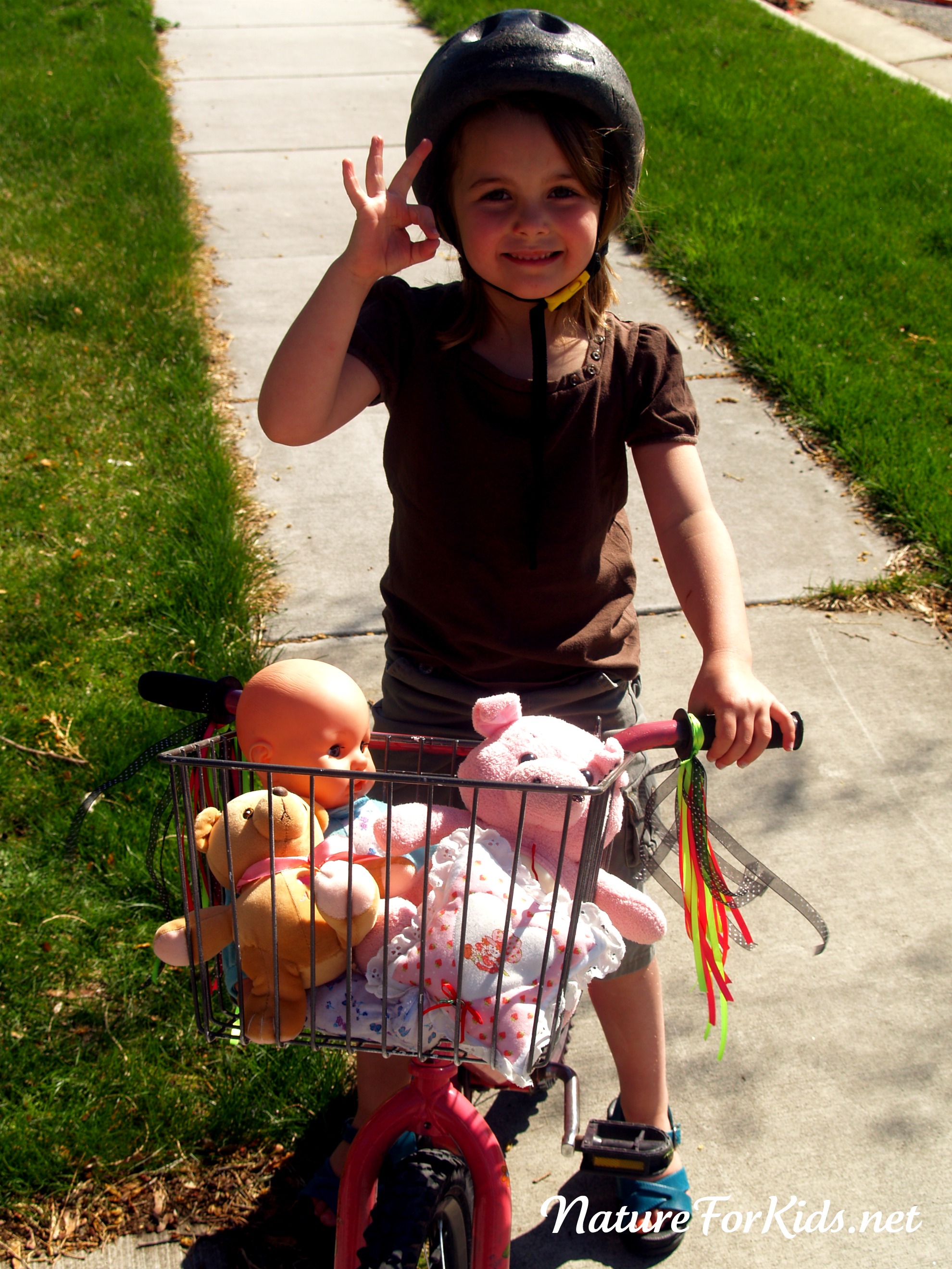 Extreme Makeover  Bike Edition