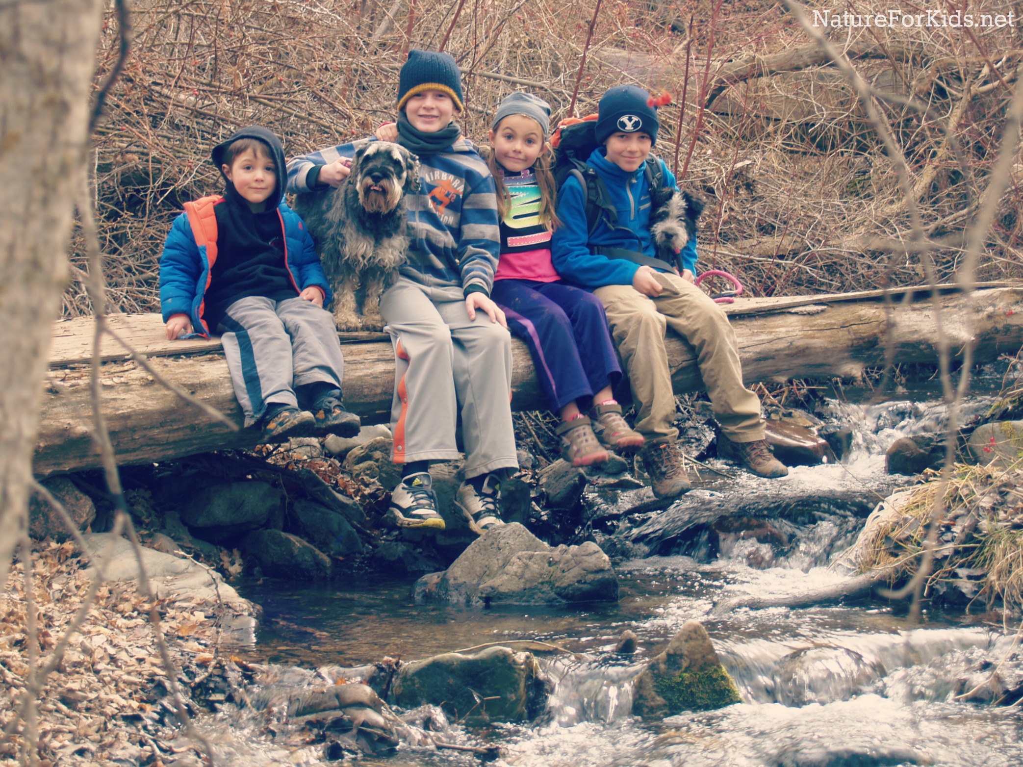 Spring Hike And A New Puppy