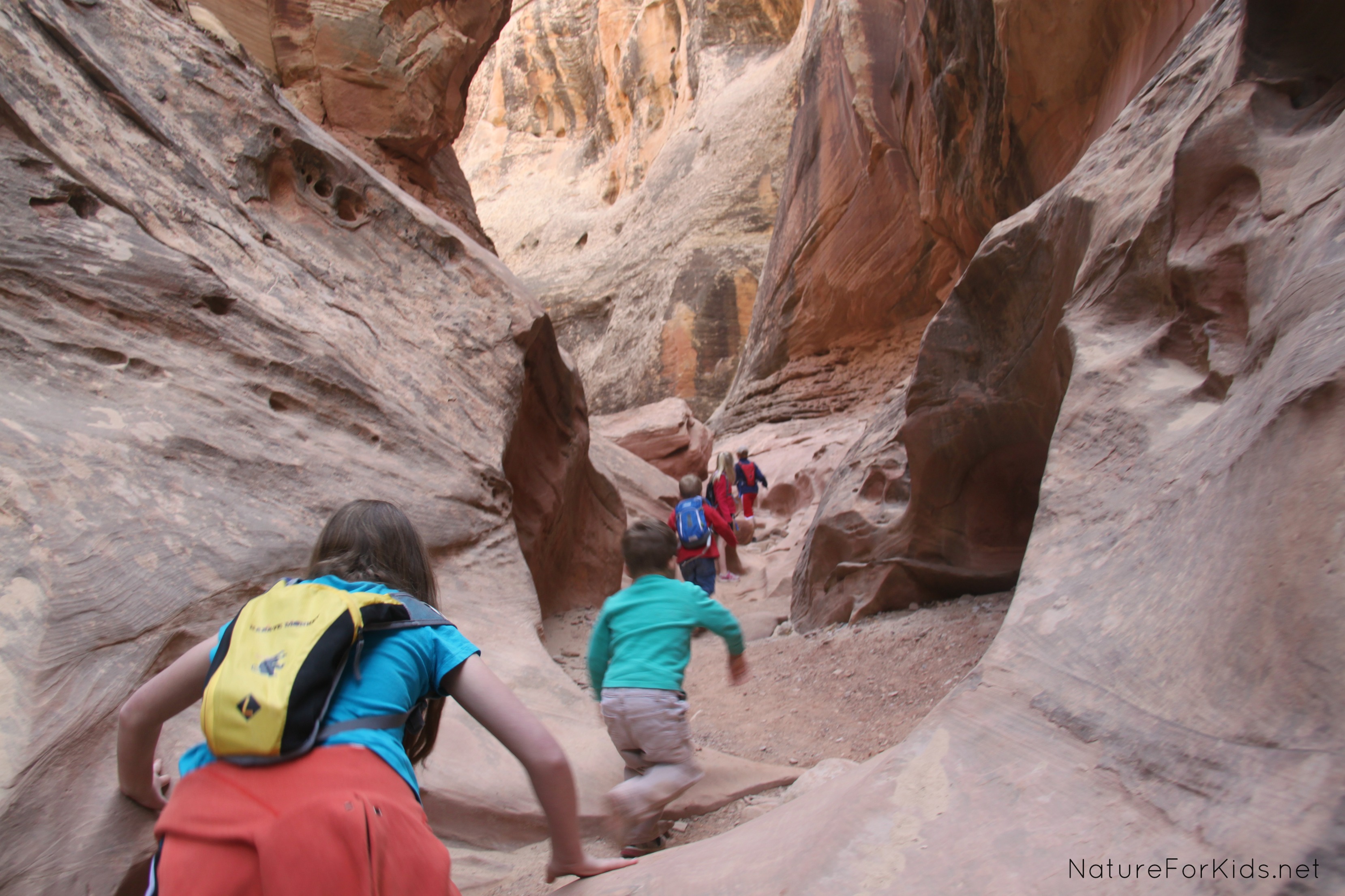 Hiking With Non-Hikers