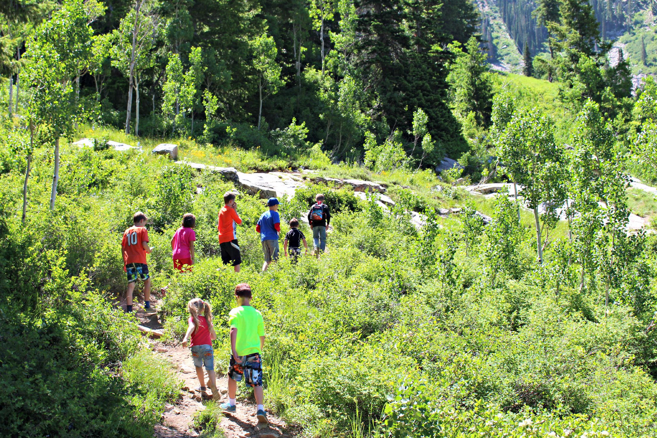 Forgotten Ski Resorts And What They Offer In The Summer