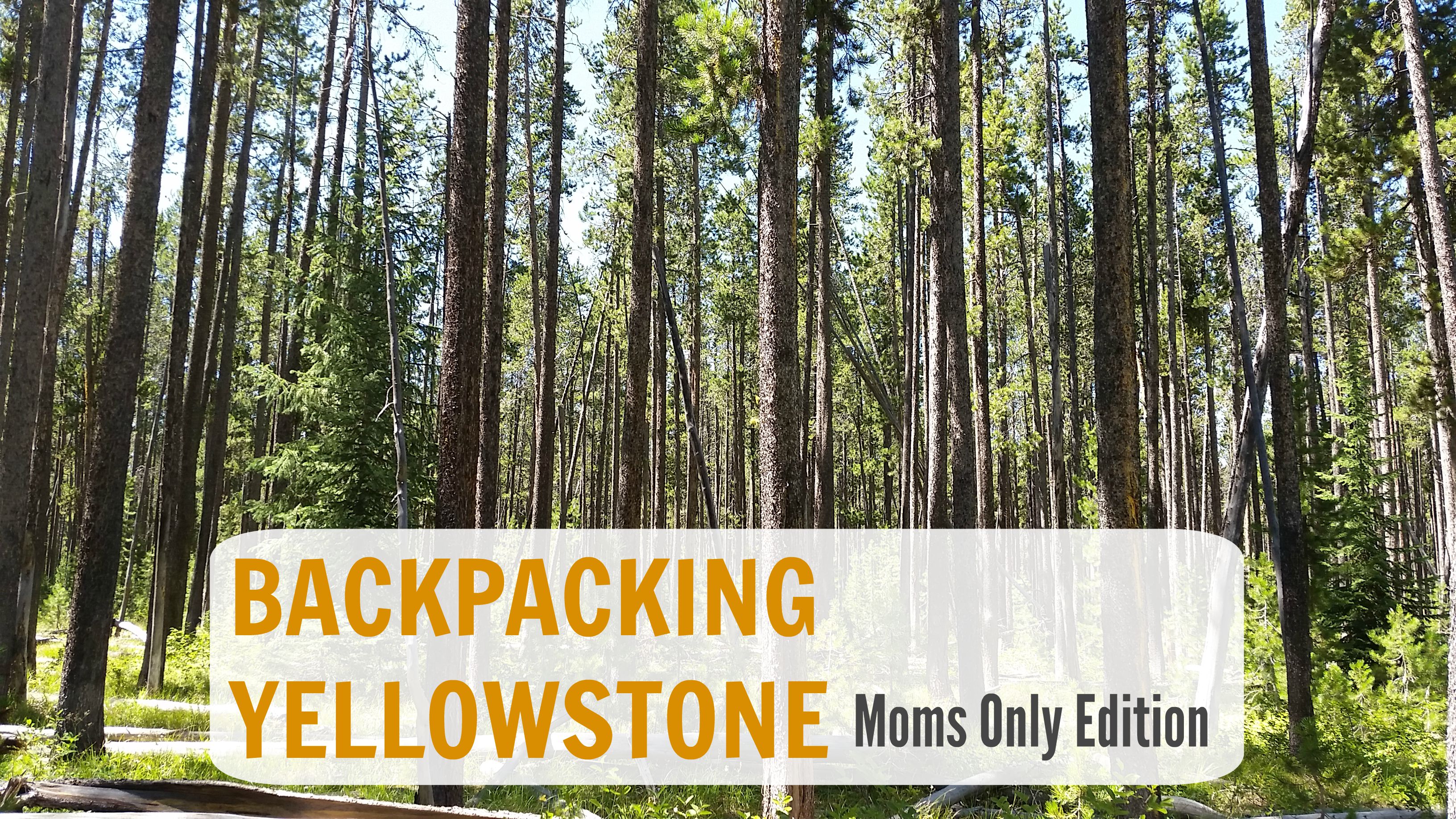 Backpacking In Yellowstone  Moms Only Edition