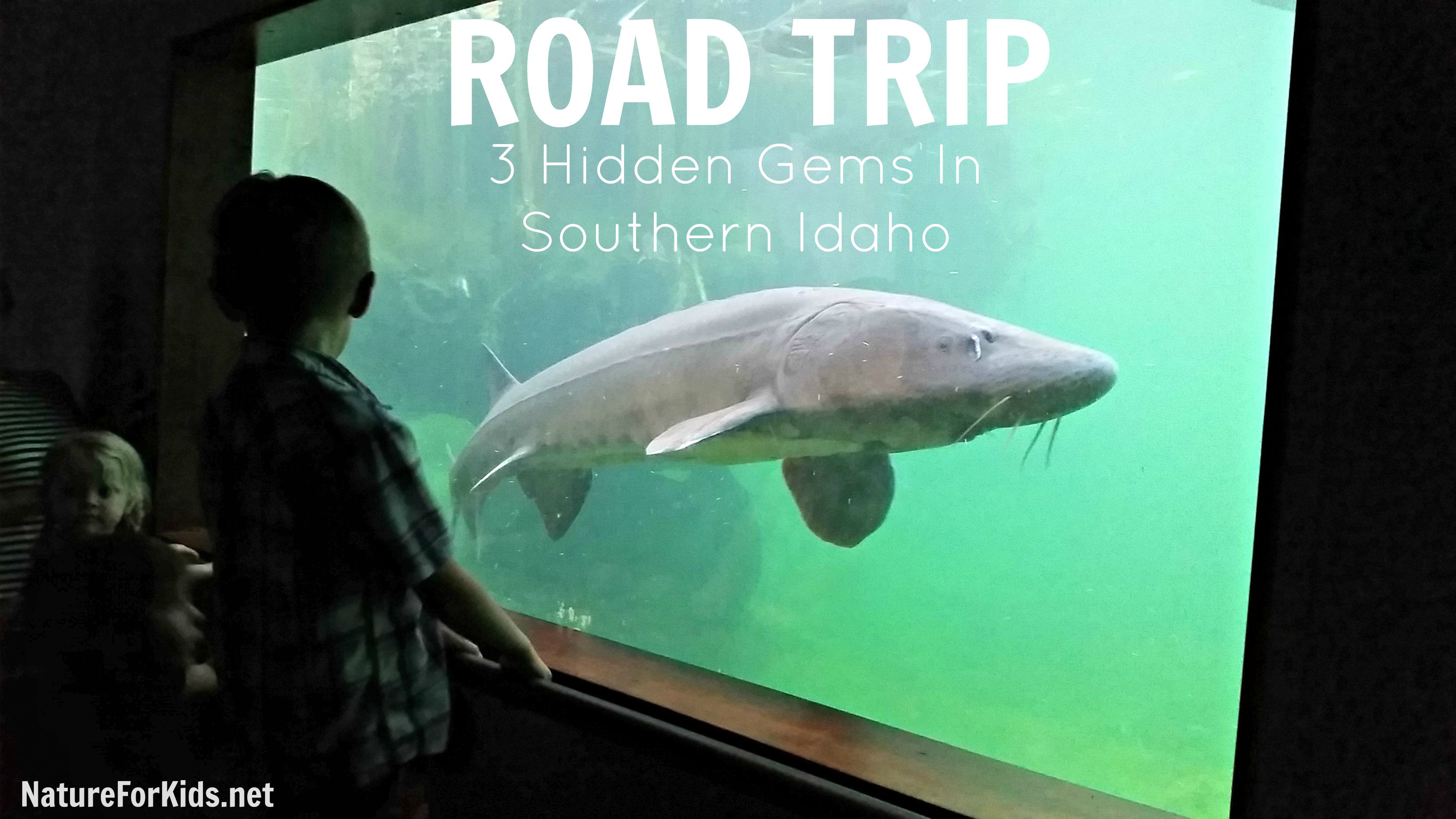 Idaho Road Trip With 3 Unique Stops